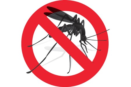 DISINFESTAZIONE CONTRO INSETTI ALATI