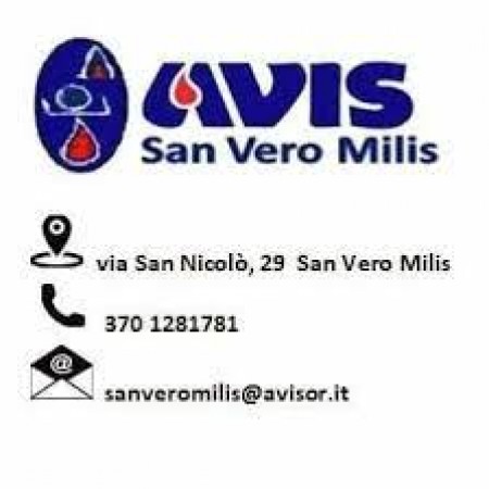 AVIS San Vero Milis partecipa alla Festa della Famiglia