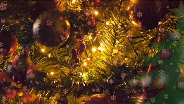 Natale 2020 - Allestimenti e presepi