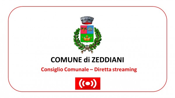 Riunione del Consiglio Comunale dell'11 aprile 2022
